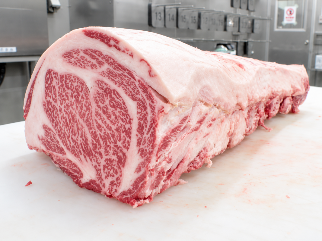 Sirloin1